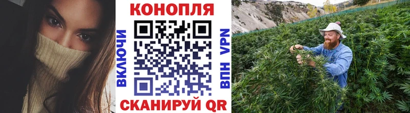 Наркотические вещества Благодарный ГЕРОИН Галлюциногенные грибы Канабис Alpha-PVP