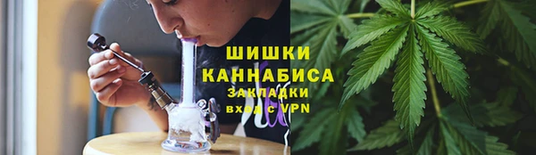 стафф Богородск
