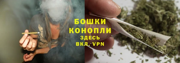 стафф Богородск