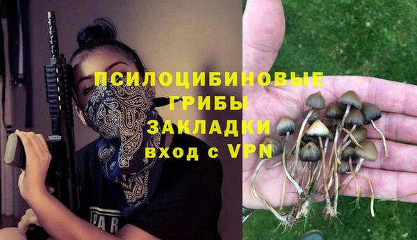 прущий лед Богородицк